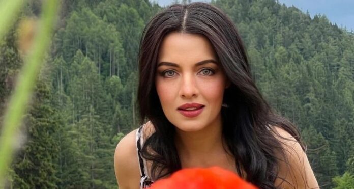 স্বামীর বিরুদ্ধে মামলা দায়েরের পর বলিউড অভিনেত্রী সেলিনা জেটলি।